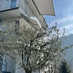Lejlighed Casa Colmegna Mit Traumhaften See- Und Bergblick *